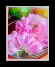 a still life with pink flowers thumbnail
